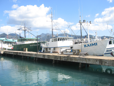 Hawaii Fishing Fleet