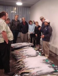Honolulu Fish Auction Tour