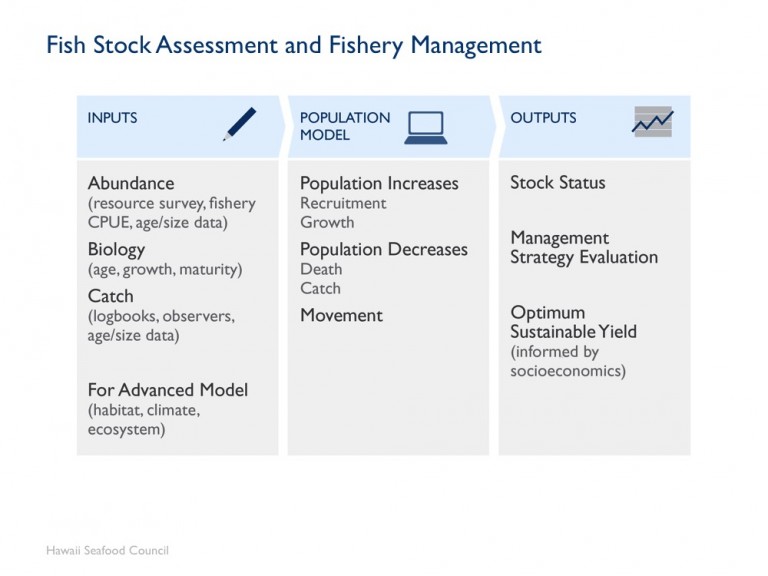 Module 5: Fish Stock Assessment – Hawaii-Seafood.org